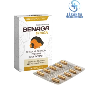 Benaga Chaga